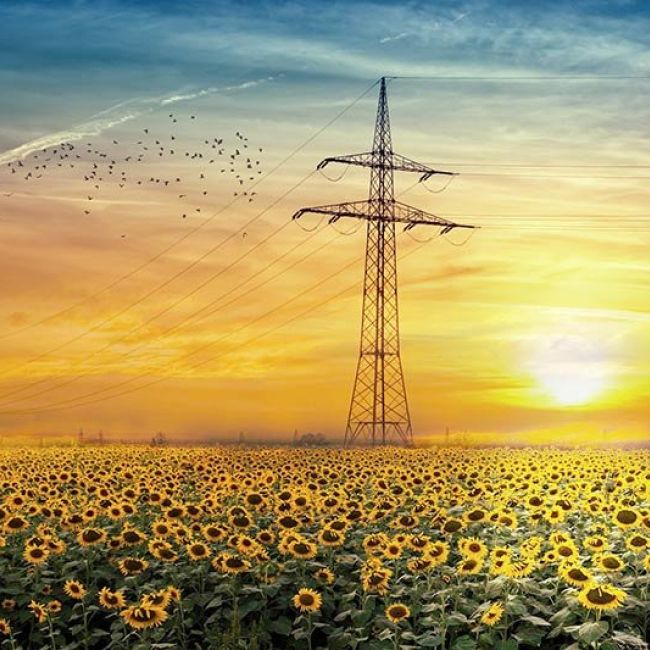 Fenie Energía, comercializadora de gas y energía Fenie Energía, comercializadora de gas y energía